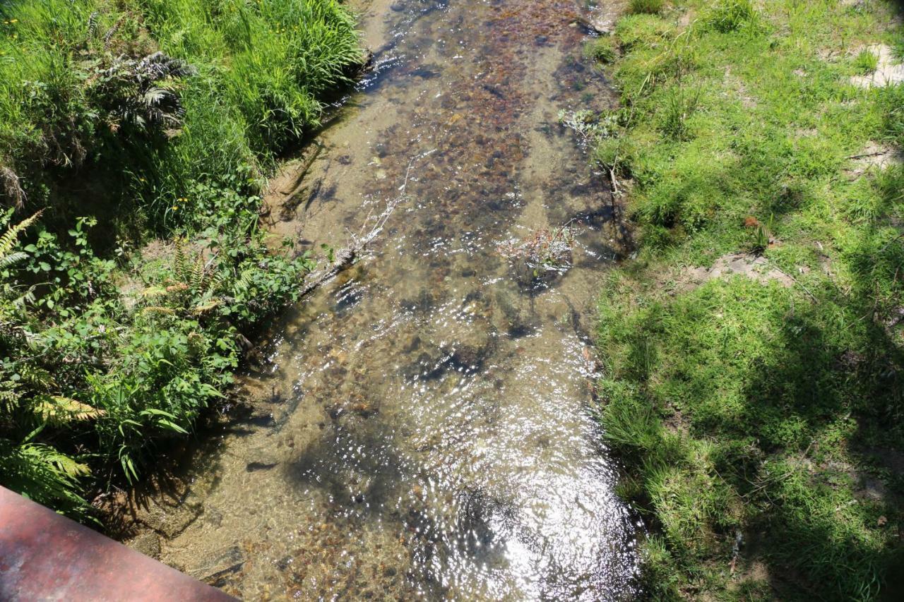 Unwind In Paradise Valley Trout At Your Door روتوروا المظهر الخارجي الصورة
